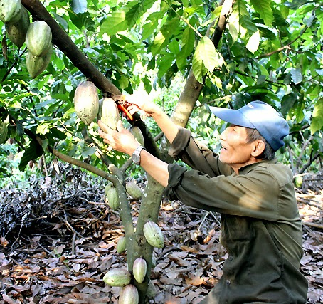 Gen nịt bụng sau sinh: Dùng sao cho đúng cách?